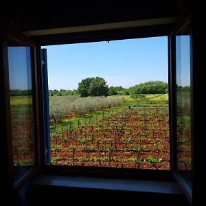 And Hacienda Stelio Apartment